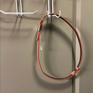 The Limited Tan Skinny Belt
